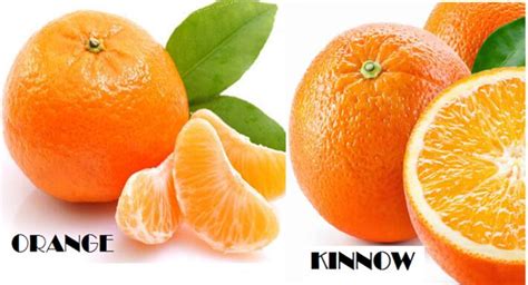 kinnow vs orange.